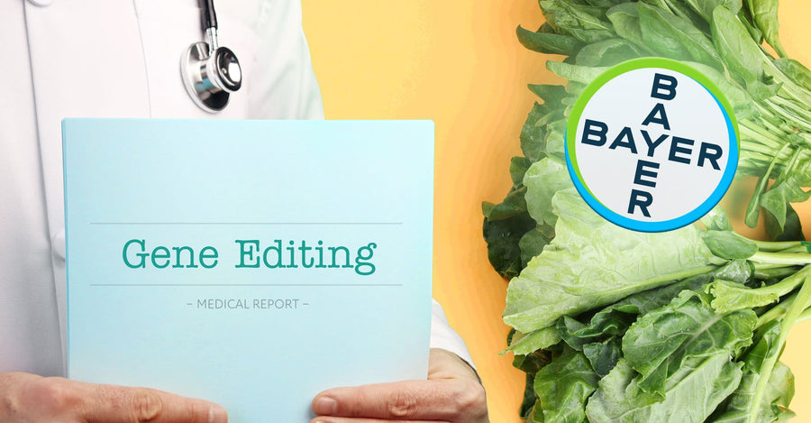 German Company Bayer moves to Genetically modify the U.S. food supply with their new Licensing Agreement