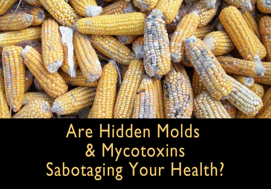 Mold and Mycotoxins in Your Food and Environment Might be Behind these tricky to Diagnose Symptoms