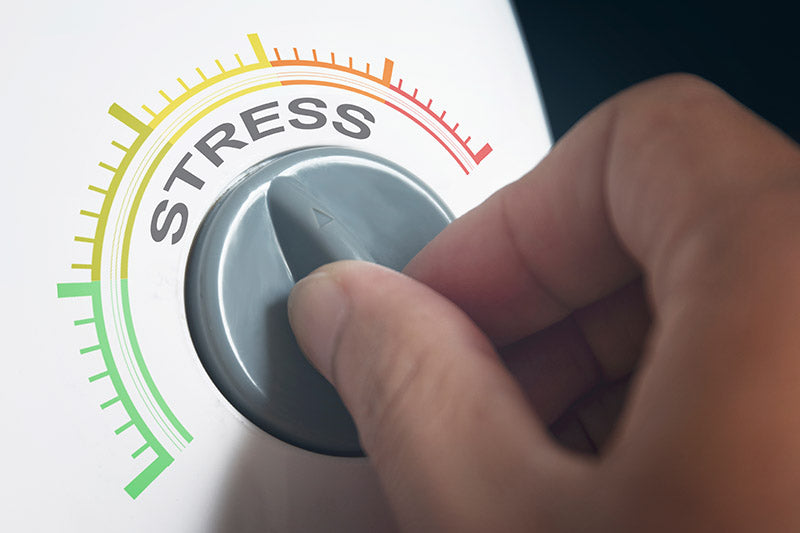 Are you Chronically Stressed? Cortisol Can Damage almost Every Organ in Your Body It's time to de-stress