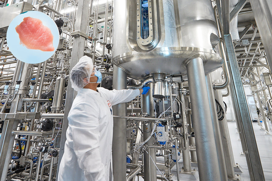 Florida Bill would Criminalize the Production and Sale of Lab Grown Meat