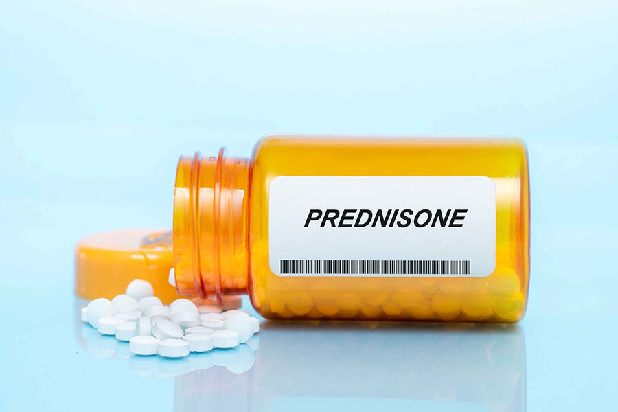 The Cancer Prednisone Connection: Why Immunosuppressants Carry Grave Risks