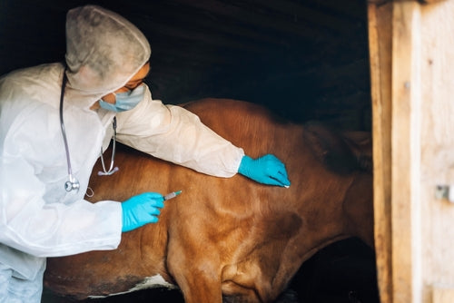 Your Fish Chicken and Meat are Vaccinated Medicated and Sick