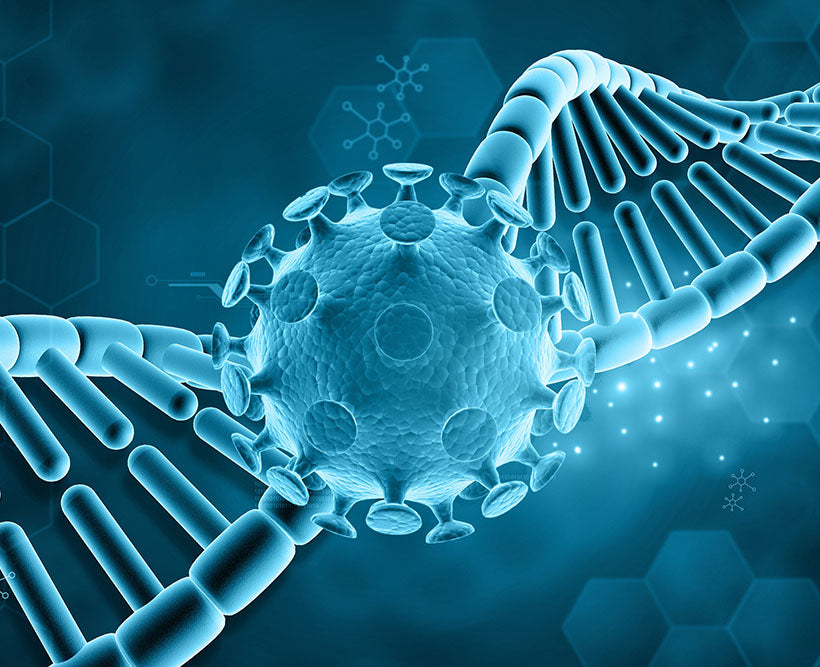 The Sneaky Virus Behind Cancer, Fatigue & Autoimmune Disease: Epstein Barr Virus