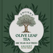 Charger l'image dans la galerie, Olive Leaf Tea - Ultimate Immune Boosting Anti-Aging Tea
