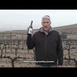 Charger et lire la vidéo dans la visionneuse de la Galerie, Organic Tempranillo Wine - Sulfite Free - Kosher
