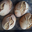 Load image into Gallery viewer, Assortment of Kamut &amp; Einkorn Sourdough Breads- Pack of 4
